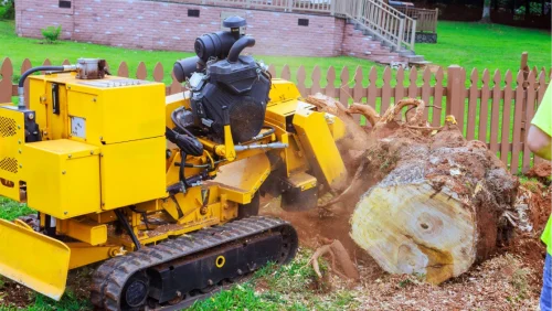 Stump removal