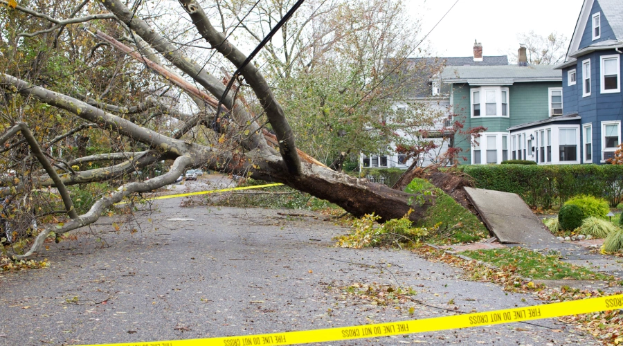 emergency cleanup services